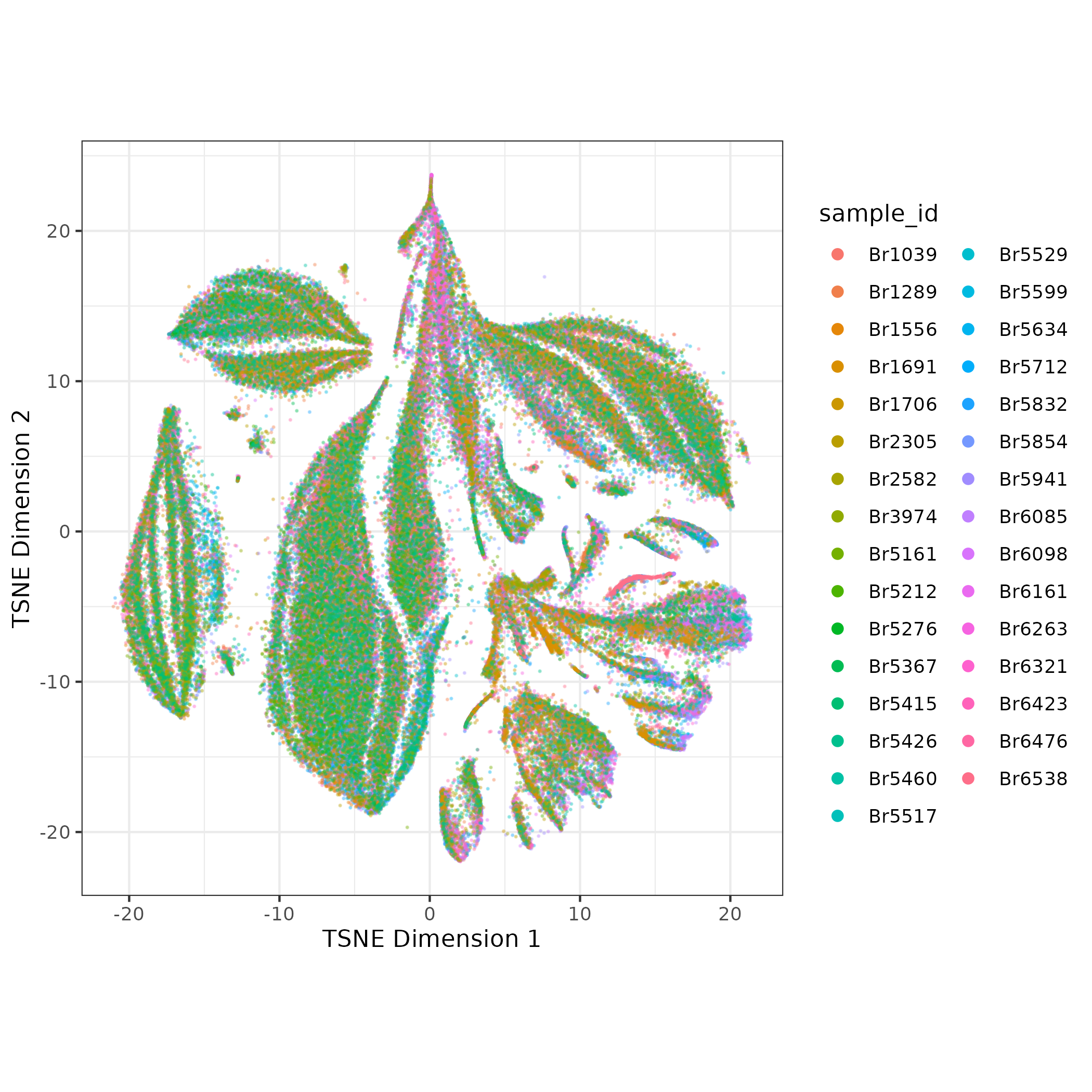 TSNE of LFF ERC snRNA-seq data, color by sample ID